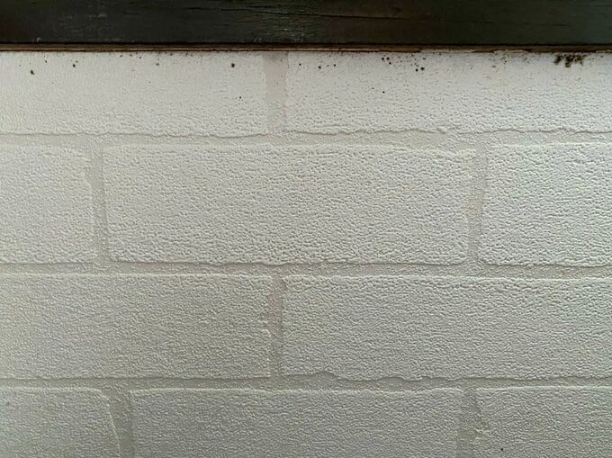 壁にできたポツポツ黒カビ