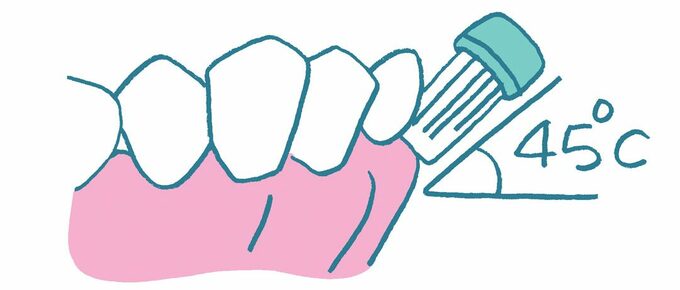 イラスト歯と歯ブラシ