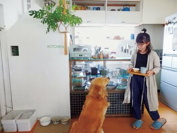 賃貸の平屋でもここまでできる！遊び心のあるインテリア