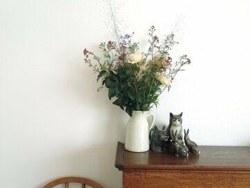 最速で「センスがいい部屋」をつくるコツ。観葉植物は置き方１つでおしゃれ度アップ