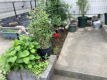 40代からは無理しないガーデニングへ。サイズダウンしたらいいことづくめ