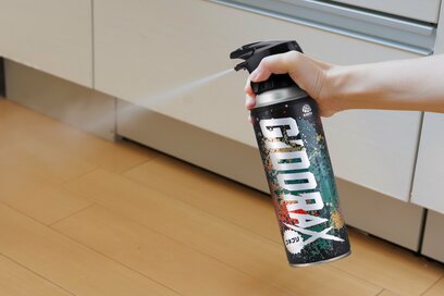 速効で仕留めたいゴキブリに。家に常備しておきたい「最強に頼れるスプレー」