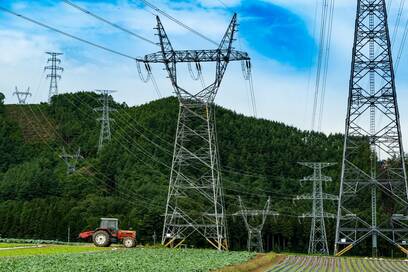 久しぶりの外出では、晴れた空を見上げてみませんか