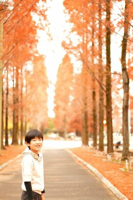 美しい紅葉を撮影！印象に残る写真にするためのコツ