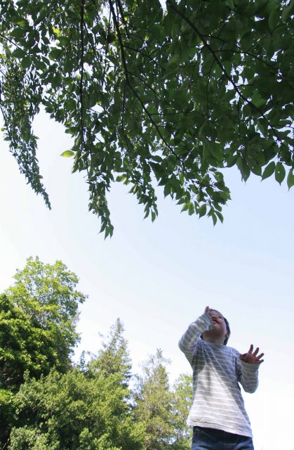 「首都圏内Uターン」が人気？限りなく埼玉県に近い練馬区でちょい郊外ライフを楽しむ家