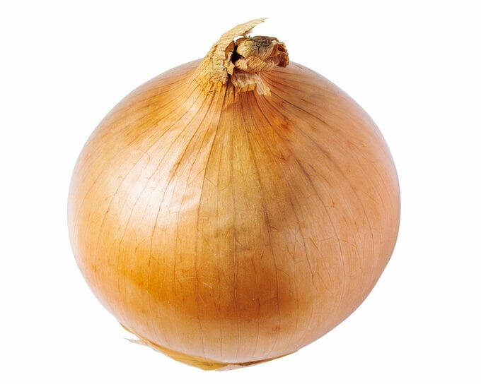 玉ねぎ