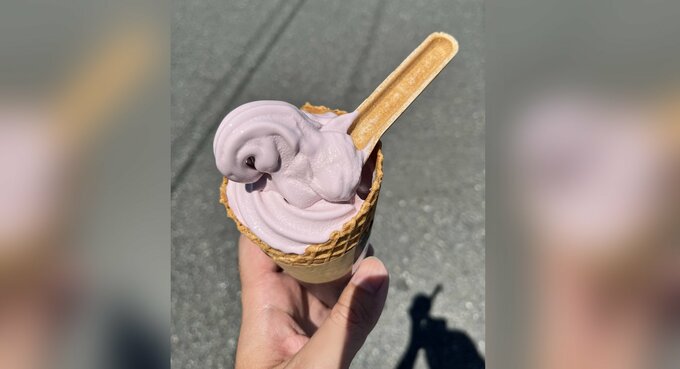 ナガノパープルソフト