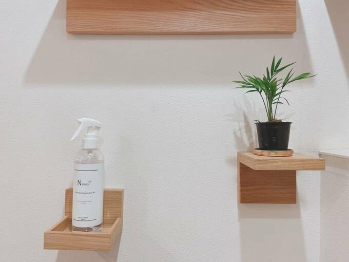 トレーに消毒スプレー、棚に観葉植物