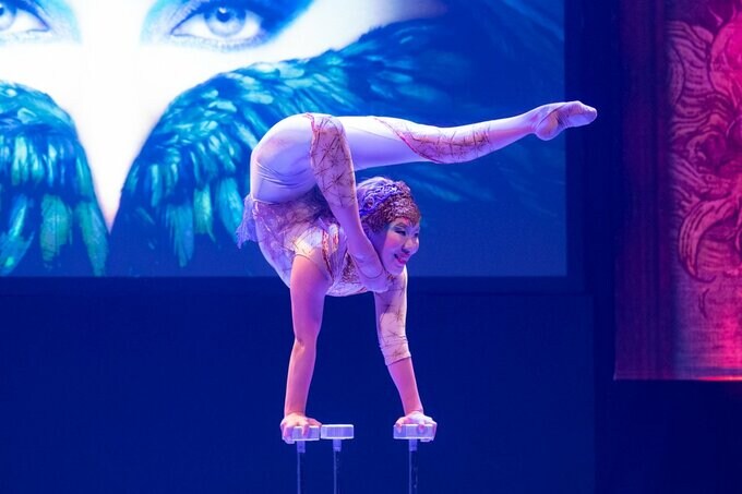 パフォーマンス