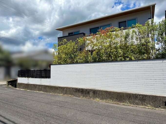 道路側から見た庭