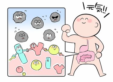 注目の「免疫機能」とは?整えるカギは腸内環境にあり