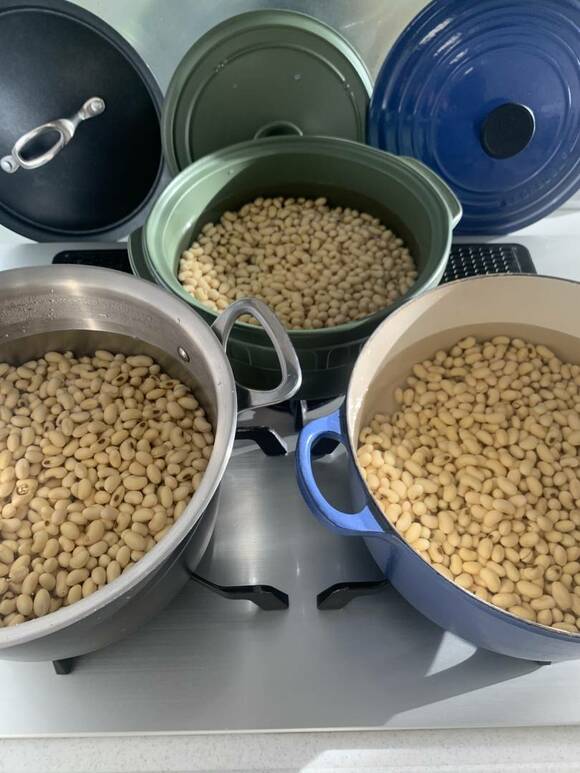 大豆をそれぞれ鍋に入れる