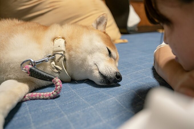 安穏な生活を営み続けたい