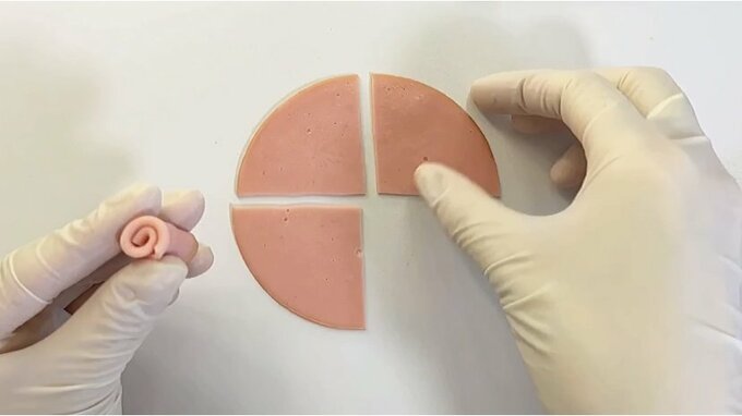 巻いたハムを持つ