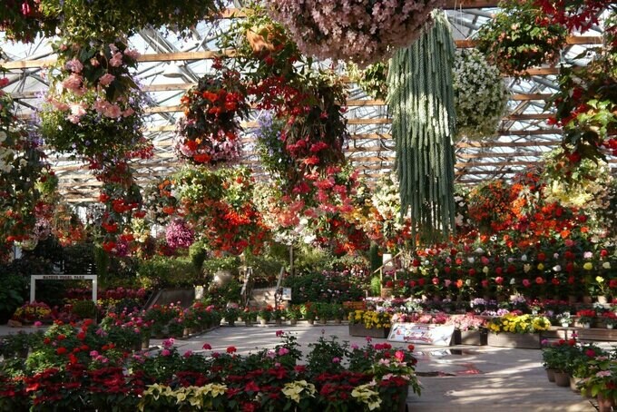 松江フォーゲルパーク