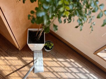 50代、すっきり暮らしの仕組み。「片づかない家」にありがちな延長コードはたるませない　