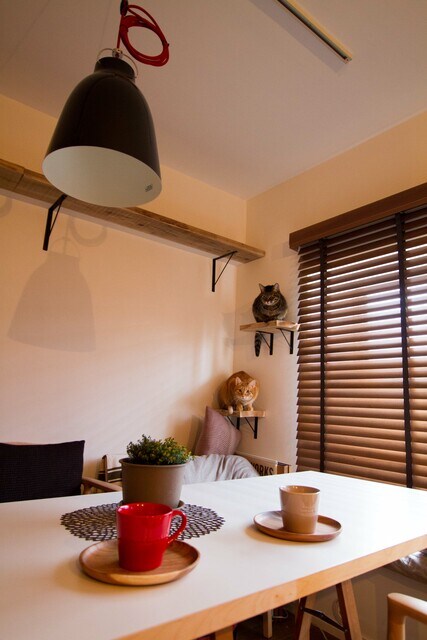 遊び場とインテリアが一体化！姉妹ネコ2匹が仲良く暮らせる家のヒミツは…