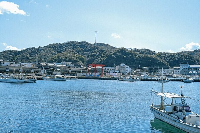 海
