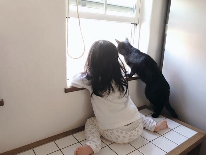 窓辺にいる子どもと黒猫