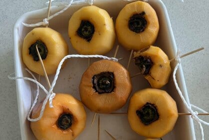 モデル・AYUMIのあゆんこの巣