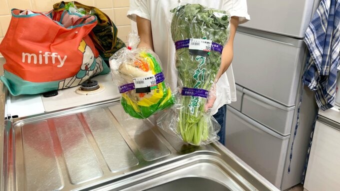 バックから取り出された野菜