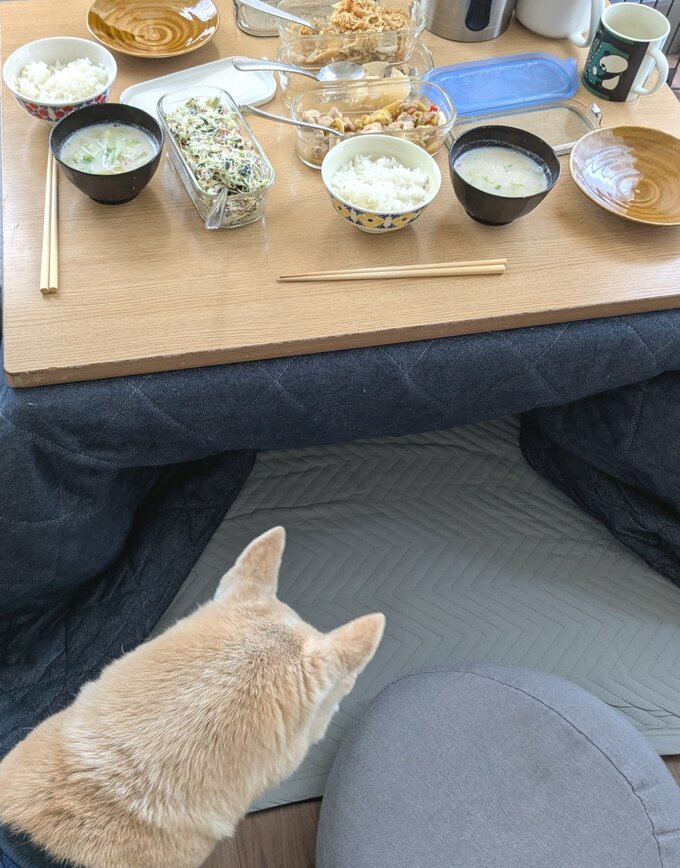 おいしそうなものがあるときはそちらを見ます