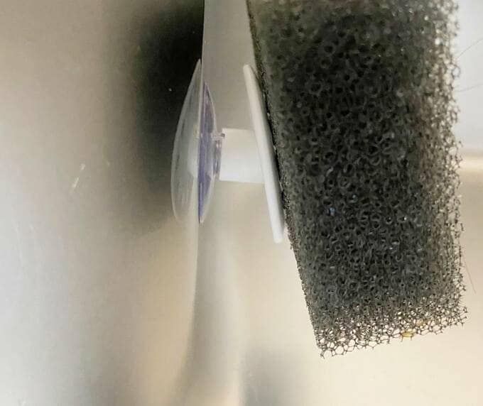 浮かせるスポンジホルダーにスポンジ