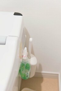 トイレのついでに：トイレブラシと洗剤を便器横に浮かして設置