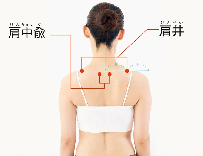 肩井と肩中愈のツボ位置