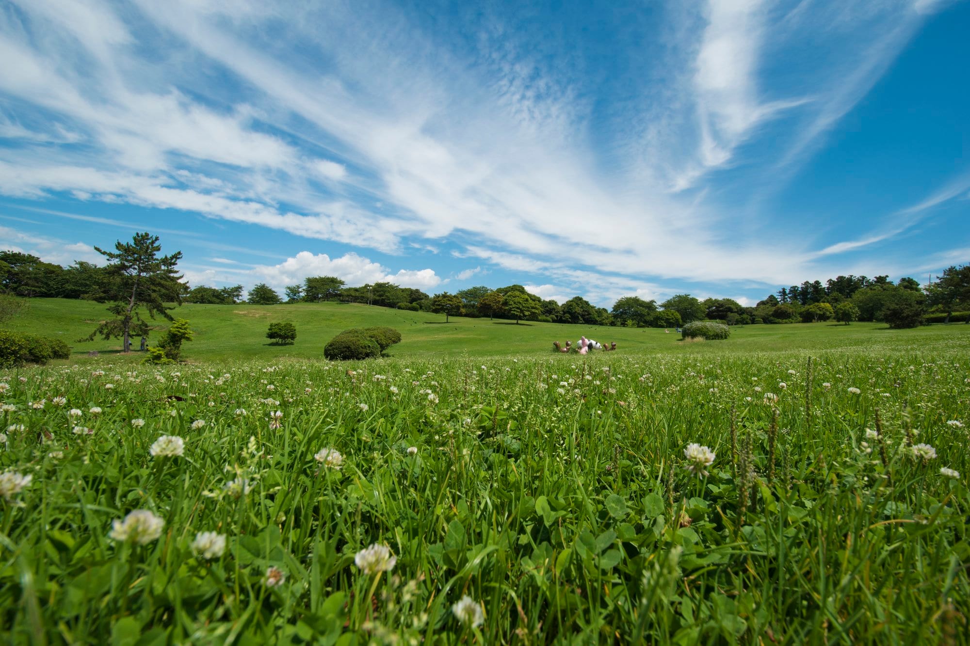 東日本大震災の原発事故から12年。今、私たちが知っておくべきこととは? オンライン)