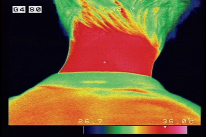 スプレー式、スカーフタイプ…etc.夏に大活躍の「ひんやりグッズ」。その実力をサーモグラフィーで検証してみた