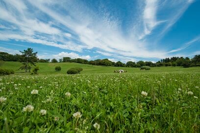 東日本大震災の原発事故から12年。今、私たちが知っておくべきこととは？