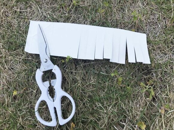 1、2cm幅で切り込みを入れて短冊状に