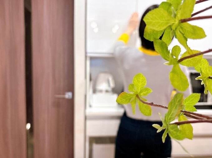 よしいさんの後ろ姿と植物