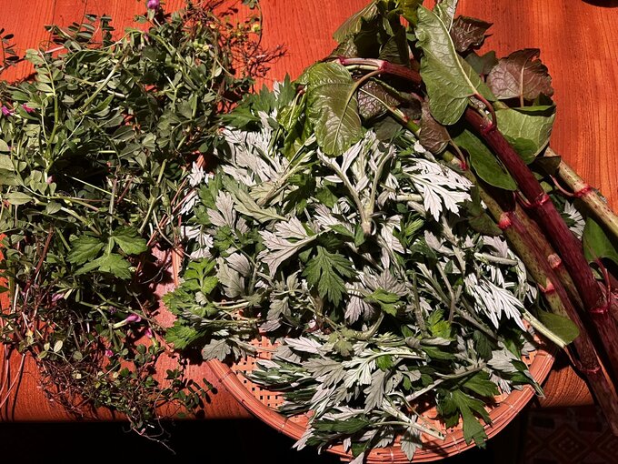 野草