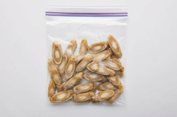 保存袋にゴボウ