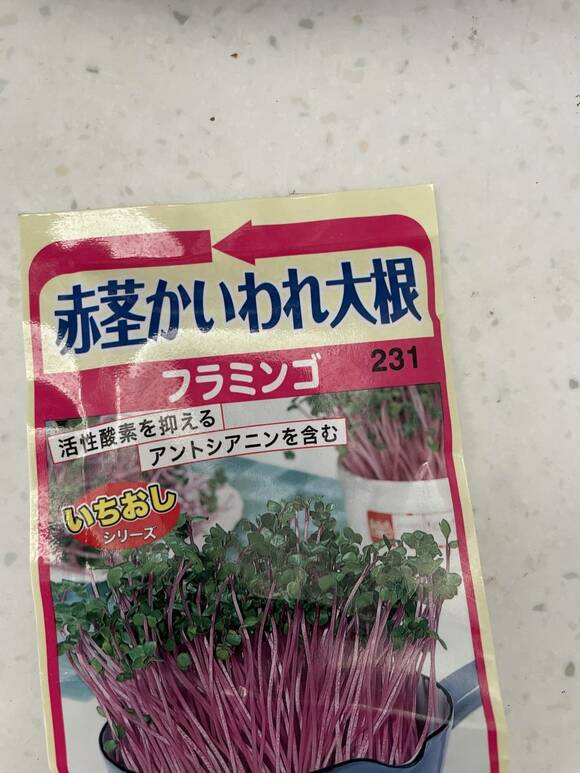 赤茎かいわれ大根タネパッケージ