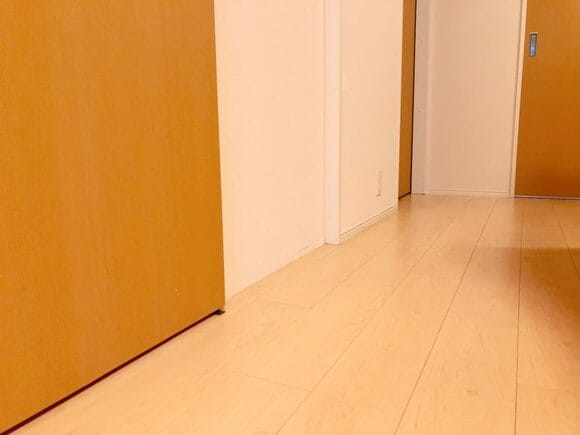 廊下のビニール袋がなくなった