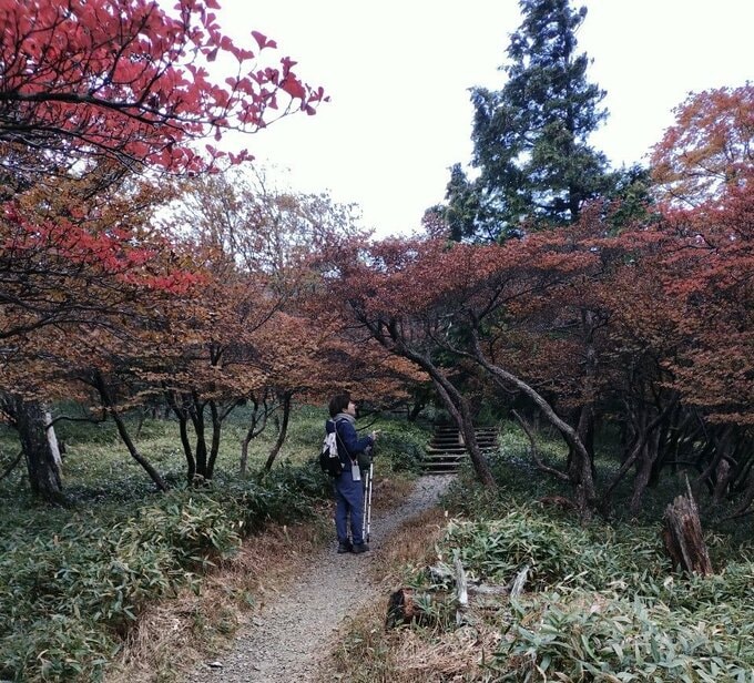 個人の趣味をもつことも大切