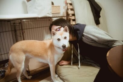 【保護犬マンガ】お尻丸出しで恥ずかしくない？「ふうちゃん、不思議！」って思うこと