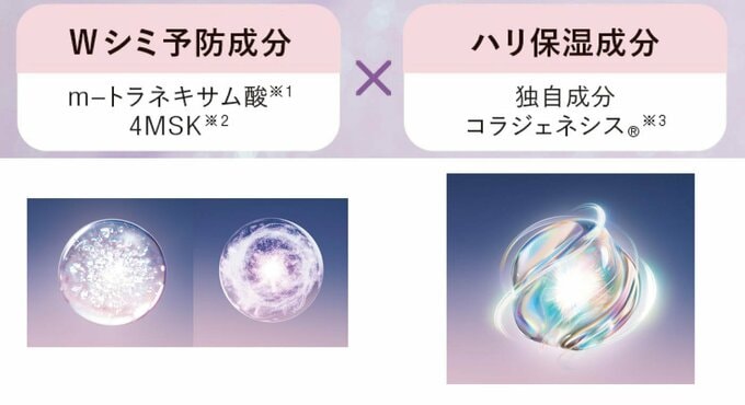 成分イメージ図