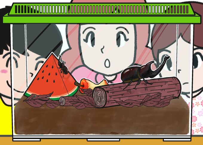 カブトムシ2