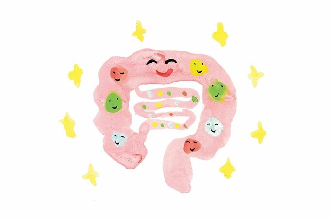 ニコニコ顔の腸のイラスト