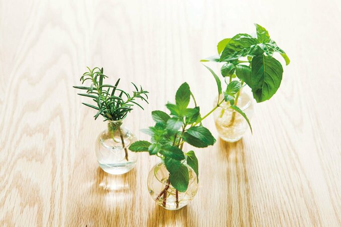 ローズマリー、ミント、バジル