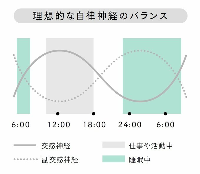 自律神経の理想バランス
