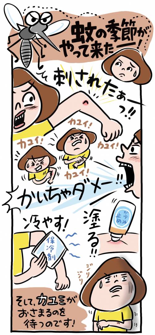 虫刺されのあとを残さない対処法 患部を冷やすのはデメリットも Esseonline エッセ オンライン