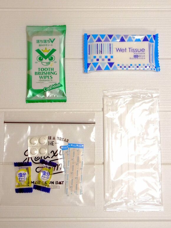 私がそろえたものは以下です