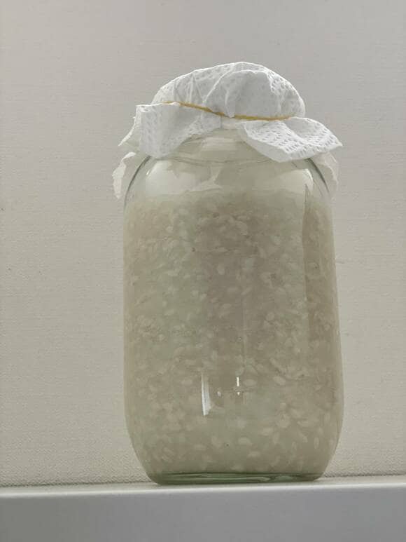 ビンにキッチンペーパー