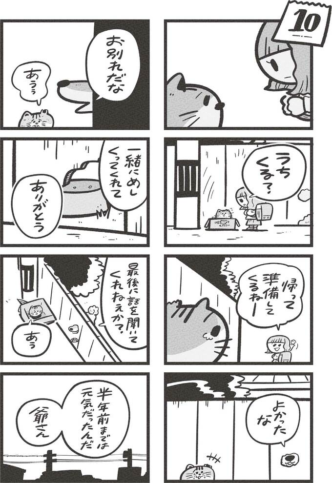 ©吉本ユータヌキ・扶桑社