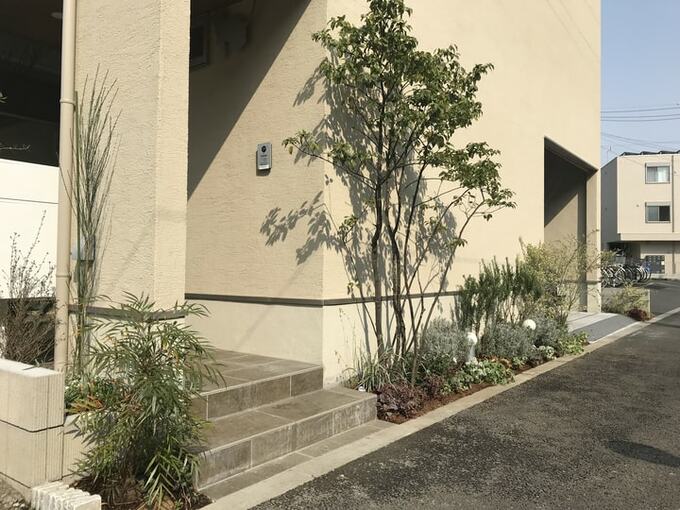 シンボルツリーの美しい樹形が影絵のような玄関脇